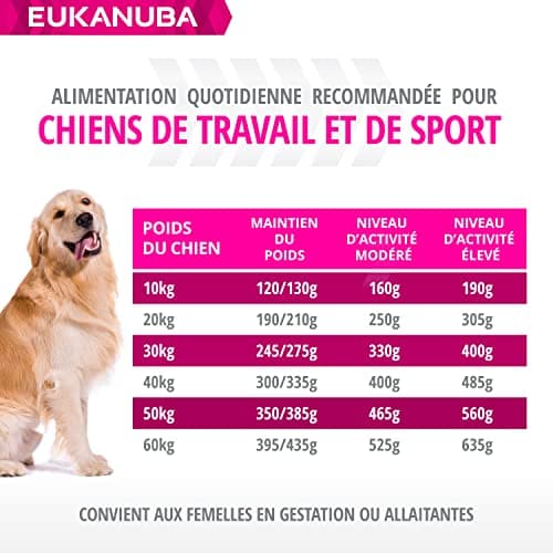 Eukanuba Daily CareWork & Endurance Chicken 15 kg - Image 7