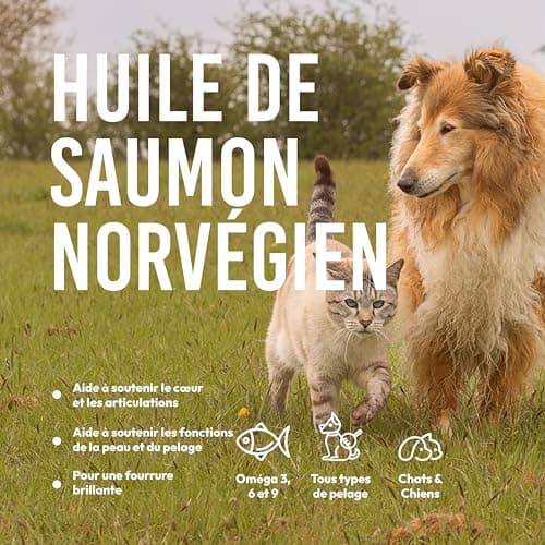Salmon Oil for Dogs & Cats -1L- NORWAY, 100% WILD, Rich in Omega 3 6 9 & Vitamin E - Cold Pressed - Shiny Coat, Immune System & Reinforced Joint - Pump Included - Image 4