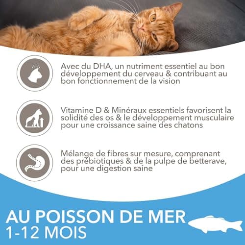 IAMS Vitality Kitten Ocean Fish 3 kg - Image 5