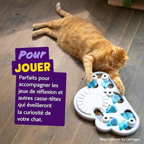 Edgard & Cooper Cat Treats, Salmon Crunchies (1x50g), Grain Free, Rich in Fresh Meat, with Catnip, Natural Ingredients, No Sugar Added - Image 6