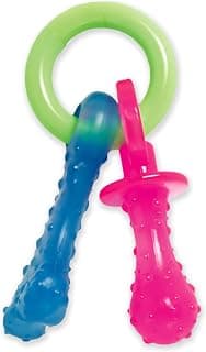 Nylabone Nylabone - Teething Pacifier chiots jouets Teething