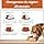 Wellness CORE Ocean 5 kg, Salmon/Tuna – Grain Free, Natural, Hypoallergenic, High Protein, High Fish Content, Healthy Skin & Shiny Coat - Image 8