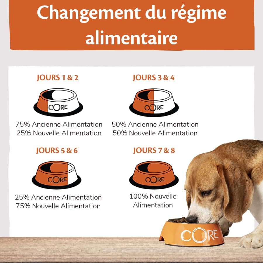 Wellness CORE Small Breed Adult Low Fat, Croquettes Chien sans Cereales, pour Chiens de Petite Race, à Haute Teneur en Viande, Dinde, 5 kg - Image 8