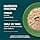 Lily's Kitchen Made from Natural Ingredients Fillets Fillets in Chicken and Mussel Broth Adult Cat Pate 24 x 70g Box - Image 4