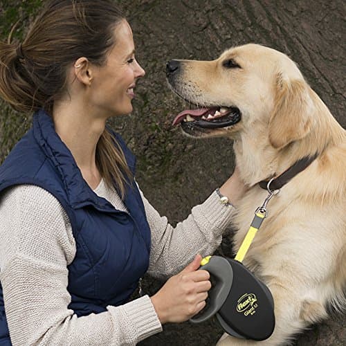flexi Giant Professional Dog Strap Black/Neon 10 m Size L - Image 4