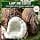 Herbal Essences Hydratation Lait de Coco Coffret avec Shampoing 250ml Et Après Shampoing 200ml - Image 6