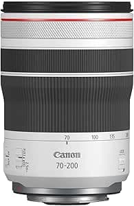 Mirrorless Cameras subcategory