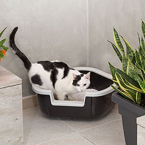 Ferplast Bac Litiere pour Chat, Maison de toilette pour Chat, Bac à litière d'angle, avec Bords Hauts et Entrée Basse, 57,5 x 51,5 x H 22 cm, Bac à Litière d'Angle DAMA, Noir - Image 5
