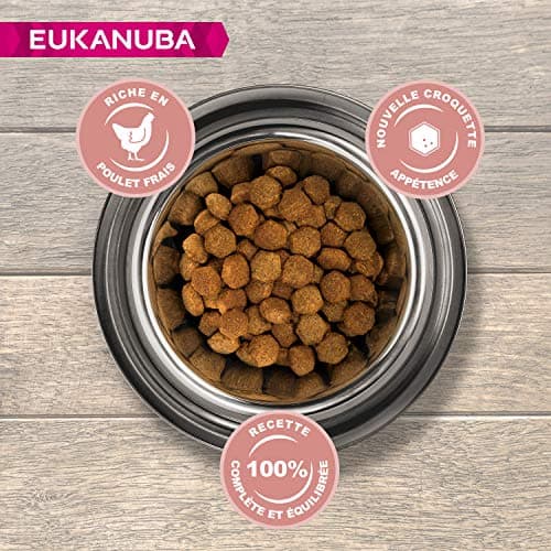 Eukanuba Senior Dog Dry Food for Large Breed Chicken 15 kg - Image 3