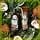 Herbal Essences Hydratation Lait de Coco Coffret avec Shampoing 250ml Et Après Shampoing 200ml - Image 5