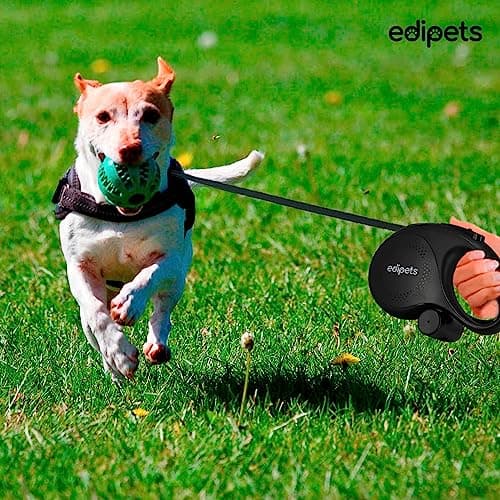 Edipets, Retractable Retractable Dog Lead, 5 and 8 Metres, Flexible Training and Walking Lead, for Small, Medium and Large Dogs (Black, 5 Metres) - Image 8