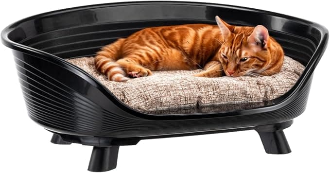 Ferplast Ferplast Panier Chien, Panier Chat avec Coussin en Coton, Lit sureleve chien, Lit pour Chien en Plastique Recyclé, Corbeille Chien, Lit Chat, Respirant Antidérapant, THRONE 61,5 x 45 x h 26 cm, Noir