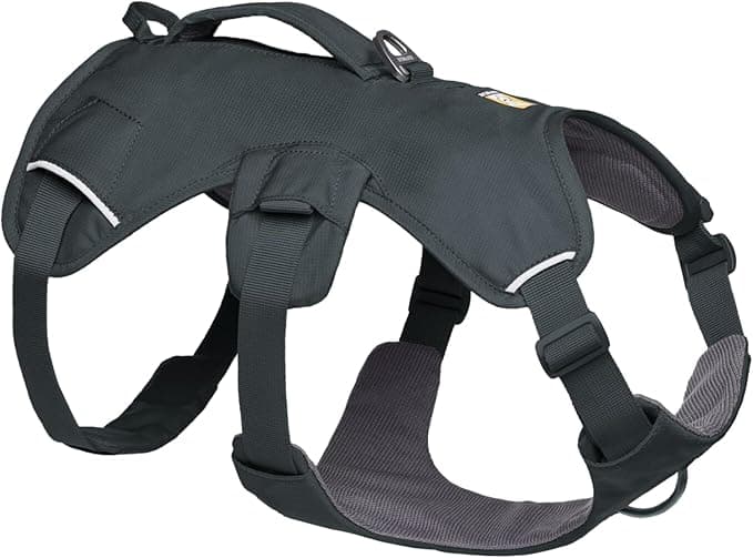 Ruffwear Web Master Dog Harness with Handle and Improved Buckle, Adjustable and Lightweight for Walking and Hiking, Anti-Leak, No Pull, Breathable and Comfortable, Basalt Grey, M