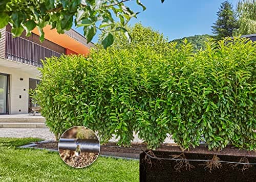 Gardena Micro-Drip System Drip Irrigation Kit for Hedge/Shrubs (25 m): Ready to Use Starter Kit, Water-Saving Irrigation System (13500-20) - Image 5