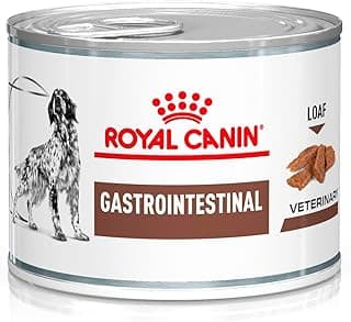 Veterinary Gastrointestinal Foam, 12 x 200 g, Complete Dietary Food for Adult Dogs, Digestive Support, High Energy