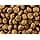 Eukanuba Puppy & Junior Adult Dry Food For Large Breed Lamb&Rice 2.5kg - Image 3