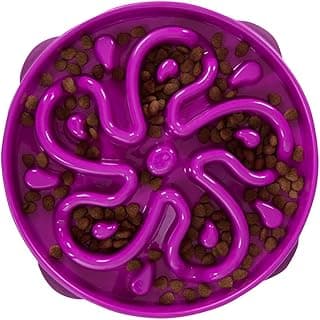 Outward Hound Fun Feeder Slo Bowl - Slow Feeder Dog Bowl - No Bloat - No Choke - Large - Purple