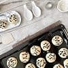 ICQN Enamelled Oven Tray 45.5 x 37.5 x 3 cm, Compatible with Bosch, Siemens, Constructa, Standard Oven Tray - Image 6