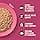 Lily's Kitchen Smooth Kitten Pate Chicken + Beef (19 x 85g) - Image 5