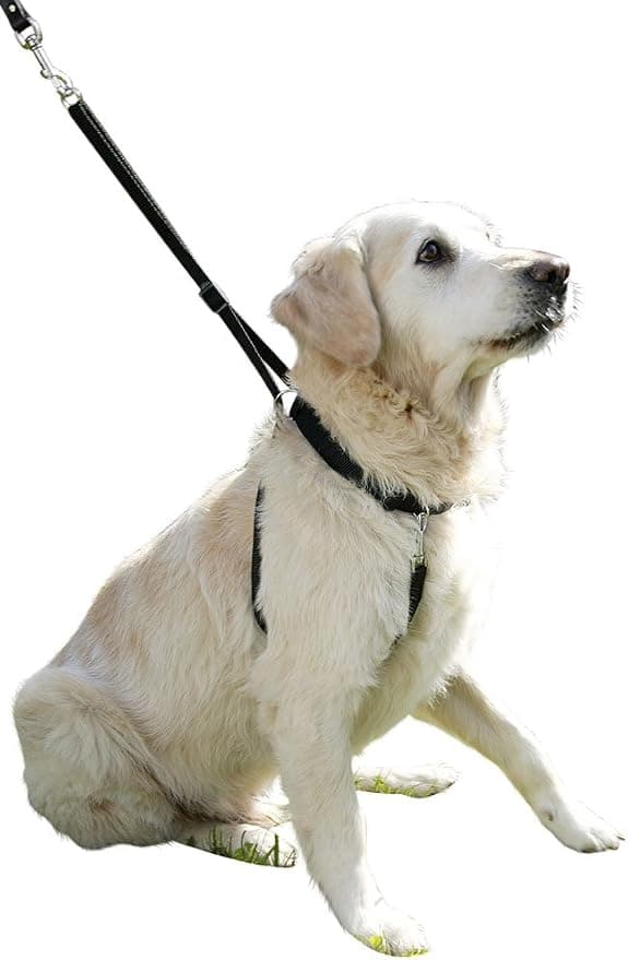 Kerbl Dog Harness Maxi Leader 45-60 cm Black - Image 1