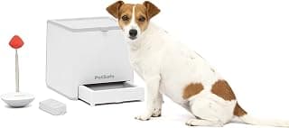 PetSafe Teach & Treat – Système de Dressage à récompenses télécommandé, Distributeur de friandises à Distance pour Chiens, Outil d’entraînement Portable