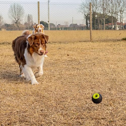 Ferplast Jouet Chien, Distributeur croquettes, en Matériau Durable, Non Toxique, Résistante aux Morsures, Rebondissant et Flottant, CHEWA BOING Balle Jouet à Friandises pour Gros Chien, Noir - Image 7