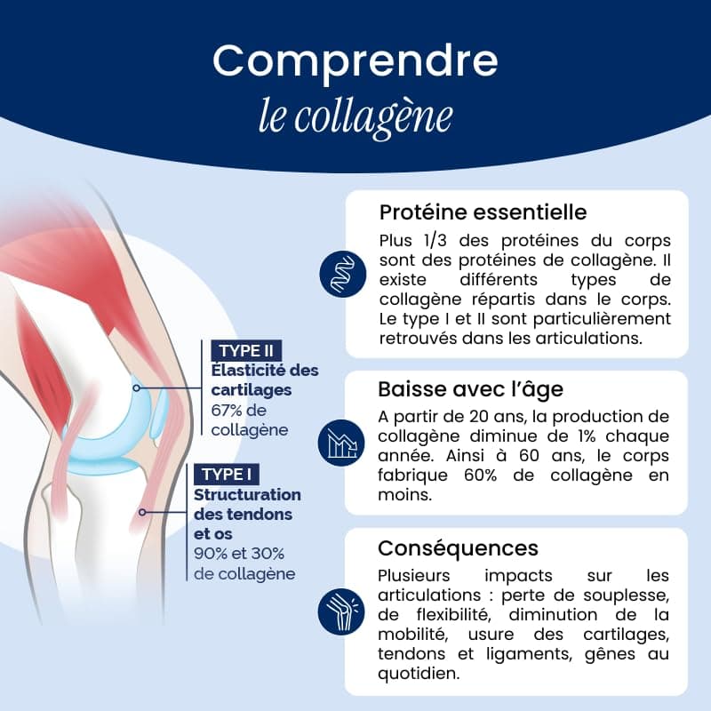 Laboratoire NaturAvignon Collagene Marin hydrolysé type 1 et 2 en poudre | Articulations, os, cartilages | 10g collagène marin par portion | Saveur fruit rouge | Fabriqué en France | 375g - Image 7