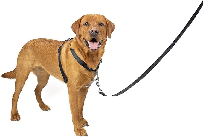 PetSafe PetSafe 3-in-1 Dog Harness - Car Seat Belt - No-Pull - Comfortable, Reflective Stitching - Black, L