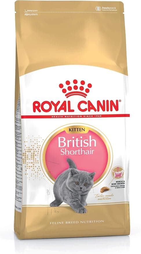 ROYAL CANIN British Shorthair Kitten - 10kg Bag - Image 1