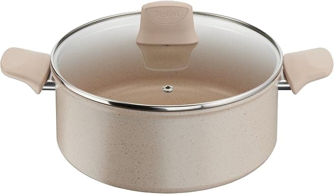 Delight Tefal G2934602 Stewing Pot with Lid 24 cm for All Heat Sources + Induction