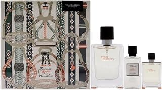 Hermes Terre d'Hermes Set Eau de Toilette Spray 100 ml + 12 ml + ASB 40 ml
