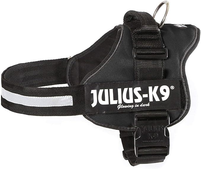 Julius-K9 Power Harness, Black, Size: M/0