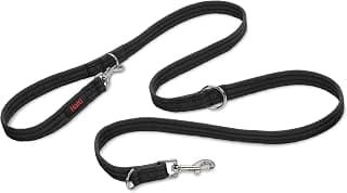 Training Leash - 7 Functions Designed to Help You Train and Walk Your Dog, Padded Double Ended Dog Training Leash for Dogs and Puppies (Large, Black, 2m)