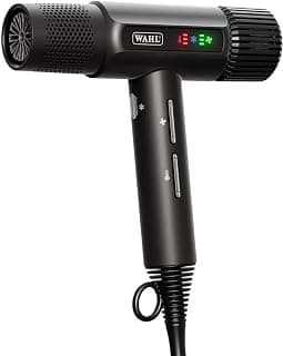 Vanquish Professional Hair Dryer Quick Dry Hair Dryer with Magnetic Tips and Diffuser (Black)