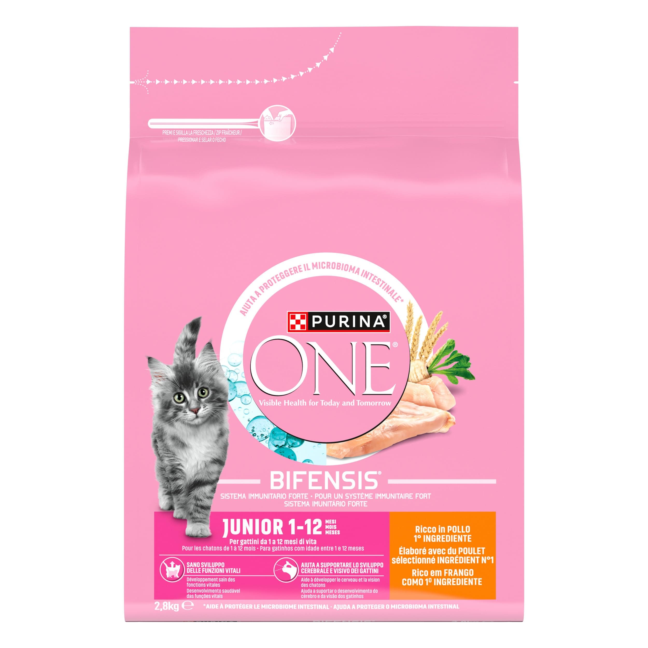 PURINA ONE | BIFENSIS Junior | Kitten up to 12 Months and Gestation Cats | Dry Food | Aid for the healthy development of the vital functions of the cat | Chicken | Bag | 2.8 kg