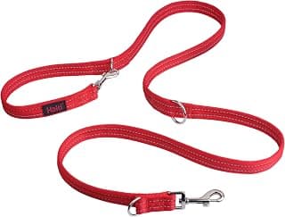 Training Leash - 7 Functions Designed to Help You Train and Walk Your Dog, Padded Double Ended Dog Training Leash for Dogs and Puppies (Small, Red, 2m)