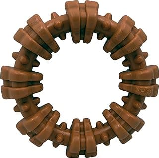 Nylabone DuraChew : Jouet à mâcher en Forme d’Anneau pour Chien