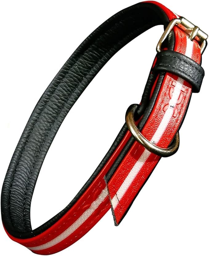 Julius-K9 Julius-K9 IDC Lumino Glow In The Dark Collar 25 mm x 70 cm Red
