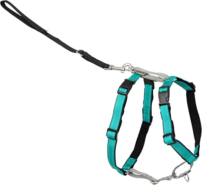 PetSafe PetSafe : 3 in 1 Dog Harness and Restraint Device