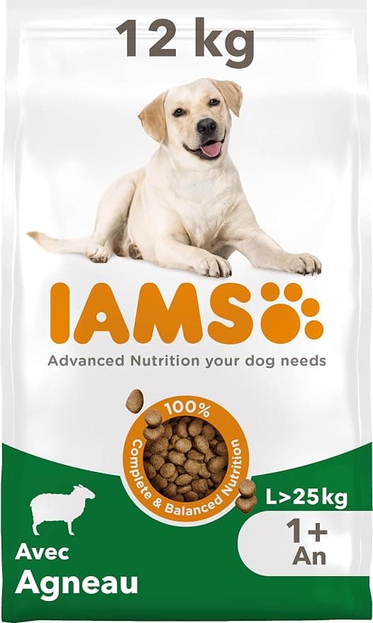 IAMS Advanced Nutrition for Large Breed Adult Dogs 1 Year + – 100% Complete & Balanced Lamb Dry Food – Wheat Free – Non-GMO Artificial Flavour Colours – Resealable Bag 12 kg - Image 1