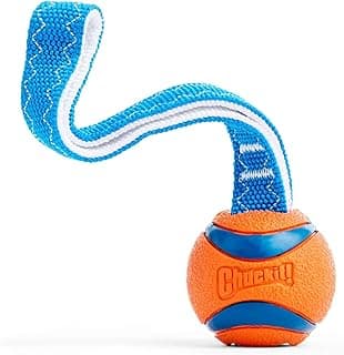 Chuckit Ultra Tug Jouet pour Chien 5 cm Taille S