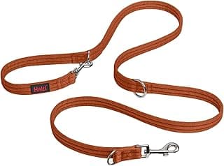Training Leash - 7 Functions Designed to Help You Train and Walk Your Dog, Double Ended Dog Training Leash for Dogs and Puppies (Small, Burnt Orange, 2m)