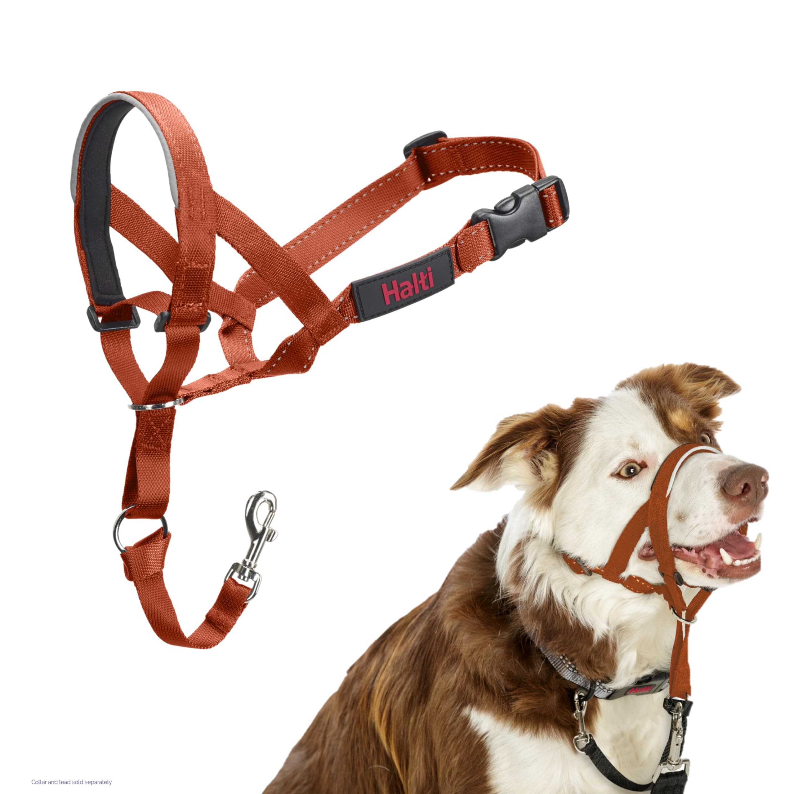 Halti Halter – To Stop Pulling On His Leash, Fully Padded On The Snout, Anti-Pull Collars for Medium Dogs (Size 2, Burnt Orange)