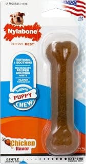 Nylabone Os pour chiots qui font leurs dents - Arôme poulet - Small - Pour les chiots pesant jusqu’à 11 kg
