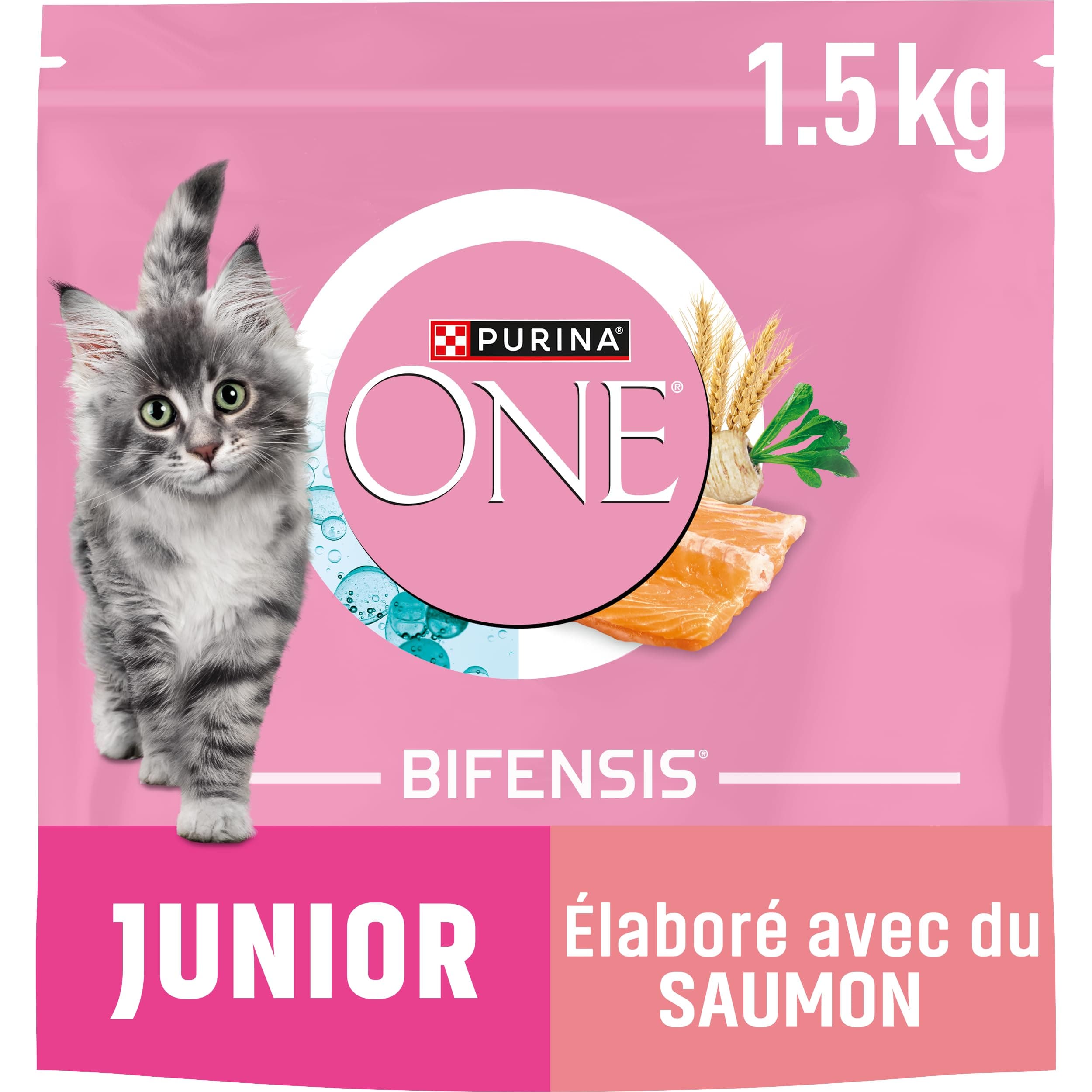Purina One PURINA ONE | Benefits | Kitten up to 12 Months and Gestation Cats | Kibble | Aid for the healthy development of the vital functions of the cat| Salmon | Bag| 1.5 kg