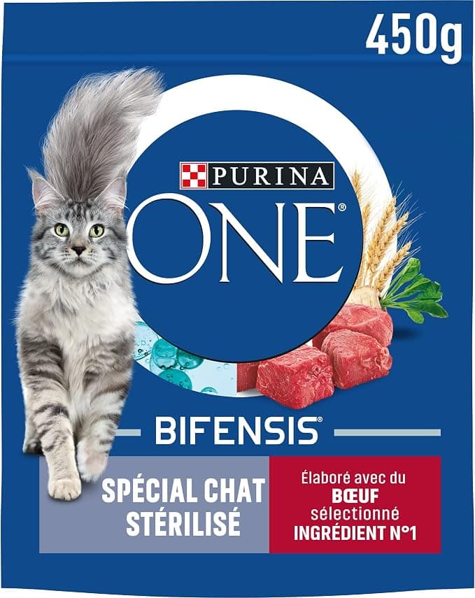 Purina One Special Beef/Wheat Dry Food for Sterilized Cat 450 g - Image 1