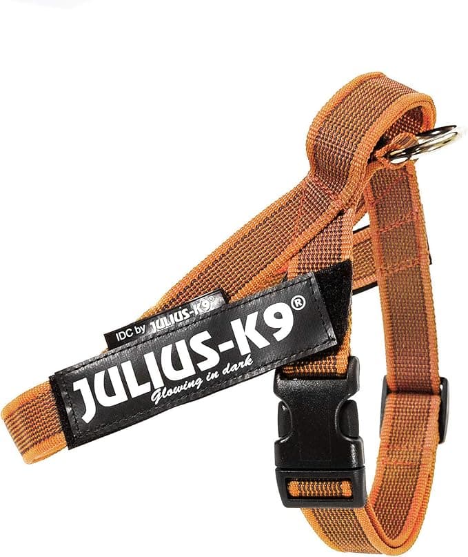 Julius-K9 Julius-K9, IDC Color & Gray Strap Harness, Size: Mini, Orange-Grey