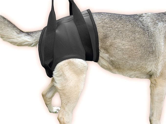 Julius-K9 Julius-K9 Walking Support Harness for Dogs with Disabilities - Hip Size: XXL, Hips: 108-129 cm