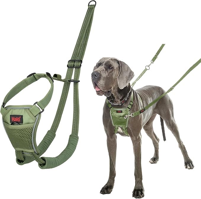 Halti Halti Anti-Pull Harness – For Your Dog to Stop Pulling on His Leash, Reflective Chest Strap and Padded Front Paws, Harness for Large Dogs (Size L, Forest Green)