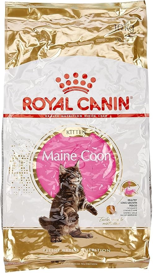 Royal Canin Royal Canin - maine coon kitten dry food - 10 kg
